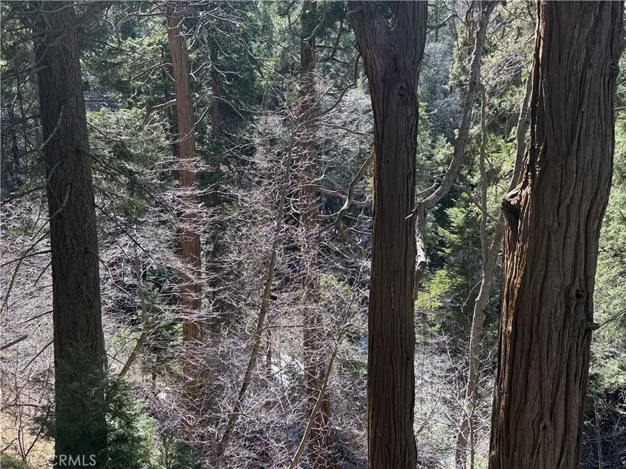 0 Sunderland Court, Lake Arrowhead, CA 92352 - #3