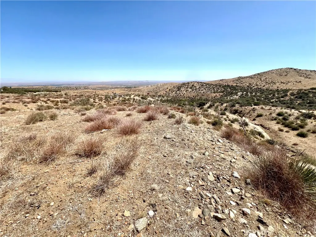 113 Juniper Mesa Road, Littlerock, CA 93543 - #1