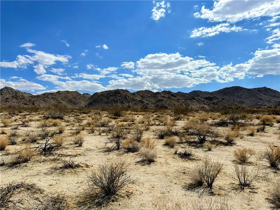 31 Sullivan Road, Joshua Tree, CA 92252 - #2