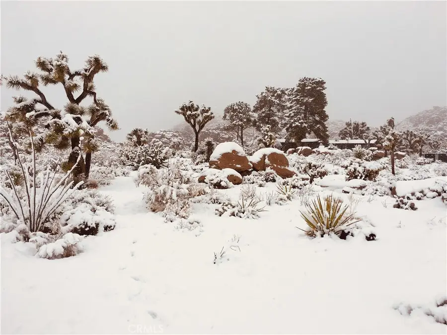 8427 Rock Haven Road, Joshua Tree, CA 92252 - Image #3