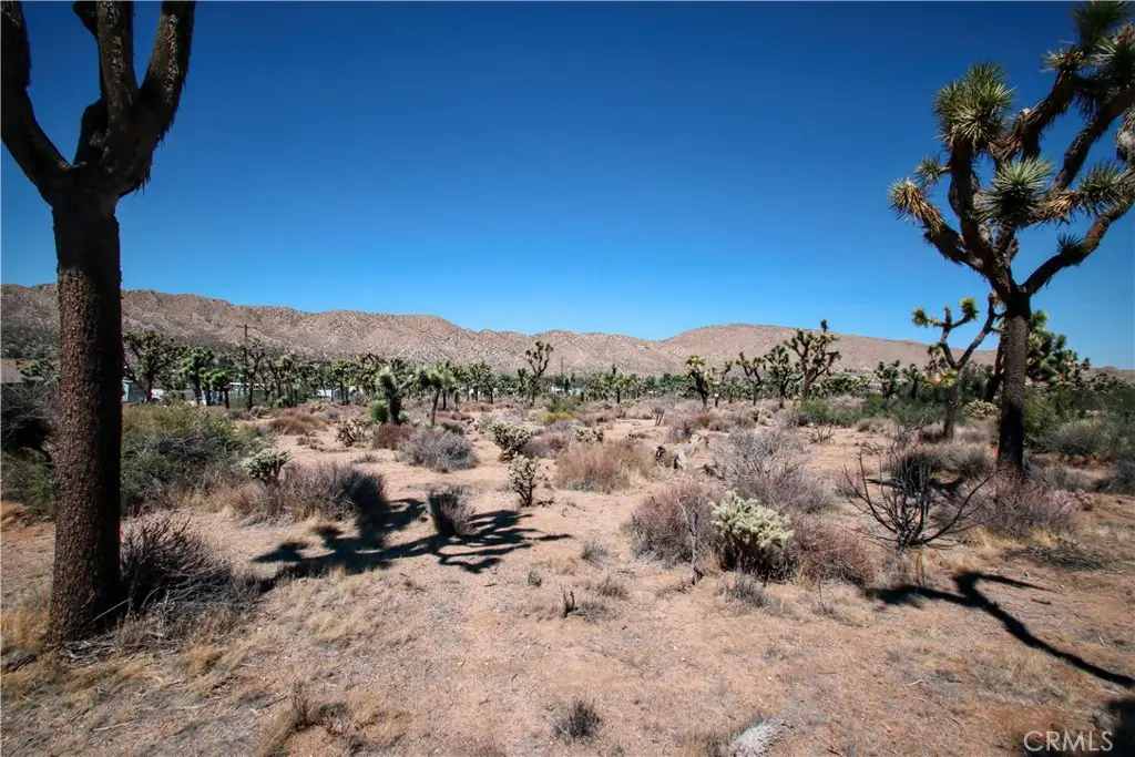 7777 Onaga Trail, Yucca Valley, CA 92284 - #1