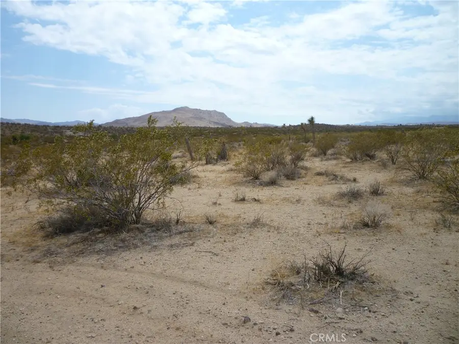 2345 Sunny Sands Drive, Joshua Tree, CA 92252 - #2