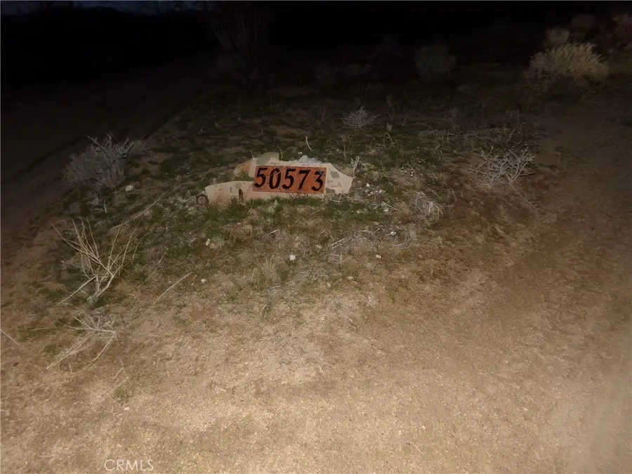 50573 Cholla, Johnson Valley, CA 92285 - Image #3