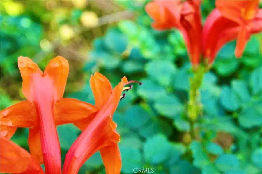 79927 Viento, La Quinta, CA 92253 - #2