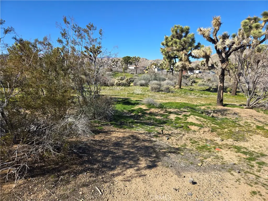 7484 Palm Avenue, Yucca Valley, CA 92284 - #1