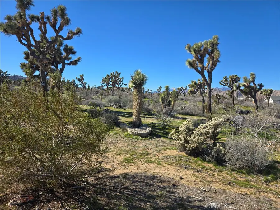 7484 Palm Avenue, Yucca Valley, CA 92284 - #2