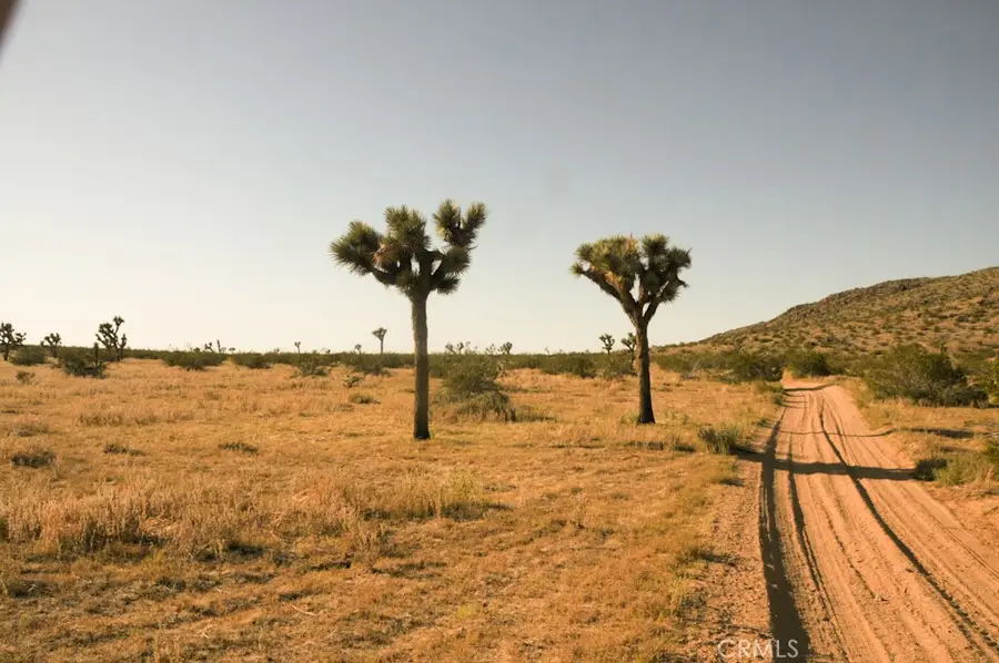 58459 Starlight Mesa Road, Yucca Valley, CA 92284 - #2