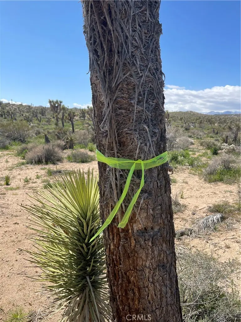 57300 Sunway, Yucca Valley, CA 92284 - #3