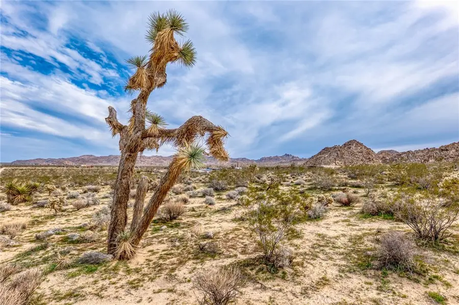 130 Rd Hollinger, Joshua Tree, CA 92252 - Image #2