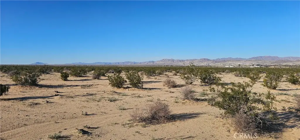 0 Mesquite Springs, Twentynine Palms, CA 92277 - #1