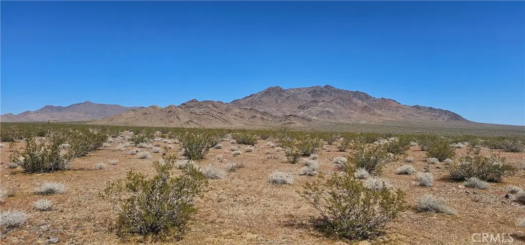 0 Pole Line Rd, Lucerne Valley, CA 92356 - #1