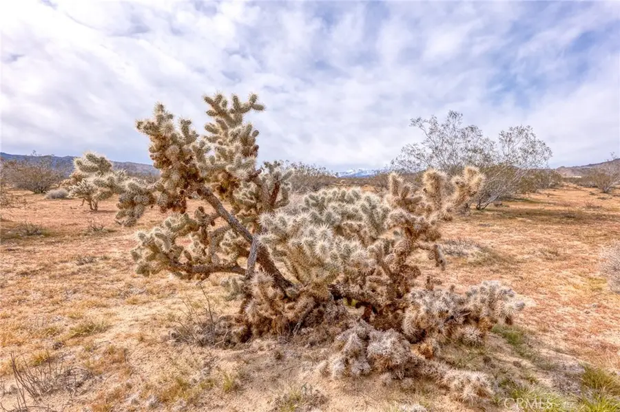 147 Little Road, Joshua Tree, CA 92252 - #2
