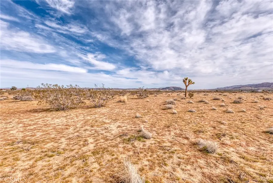 147 Little Road, Joshua Tree, CA 92252 - #3