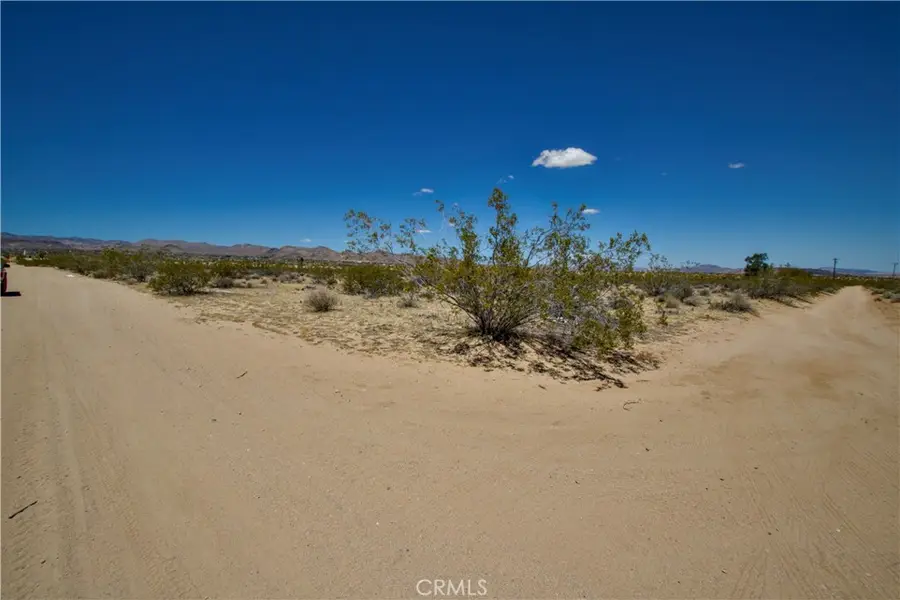 888 Lucky Lane, Landers, CA 92285 - #3