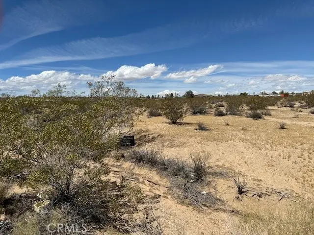 62460 Canterbury, Joshua Tree, CA 92252 - #3