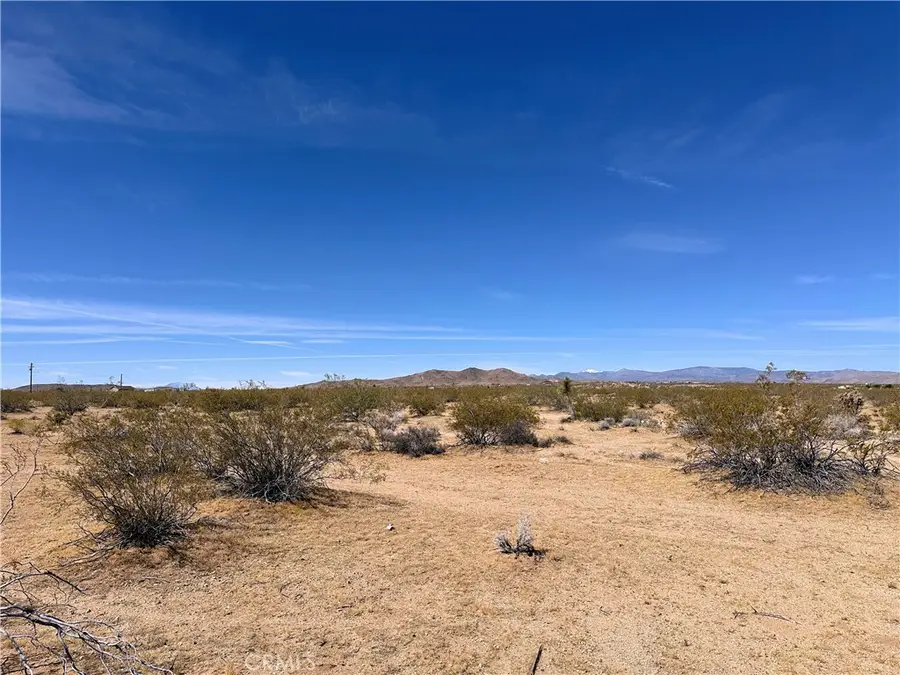 61124 Wassail Road, Landers, CA 92285 - #3