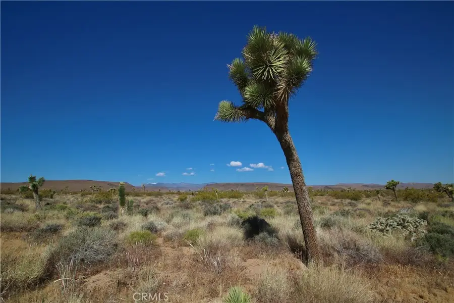 49 Aberdeen, Yucca Valley, CA 92284 - #3