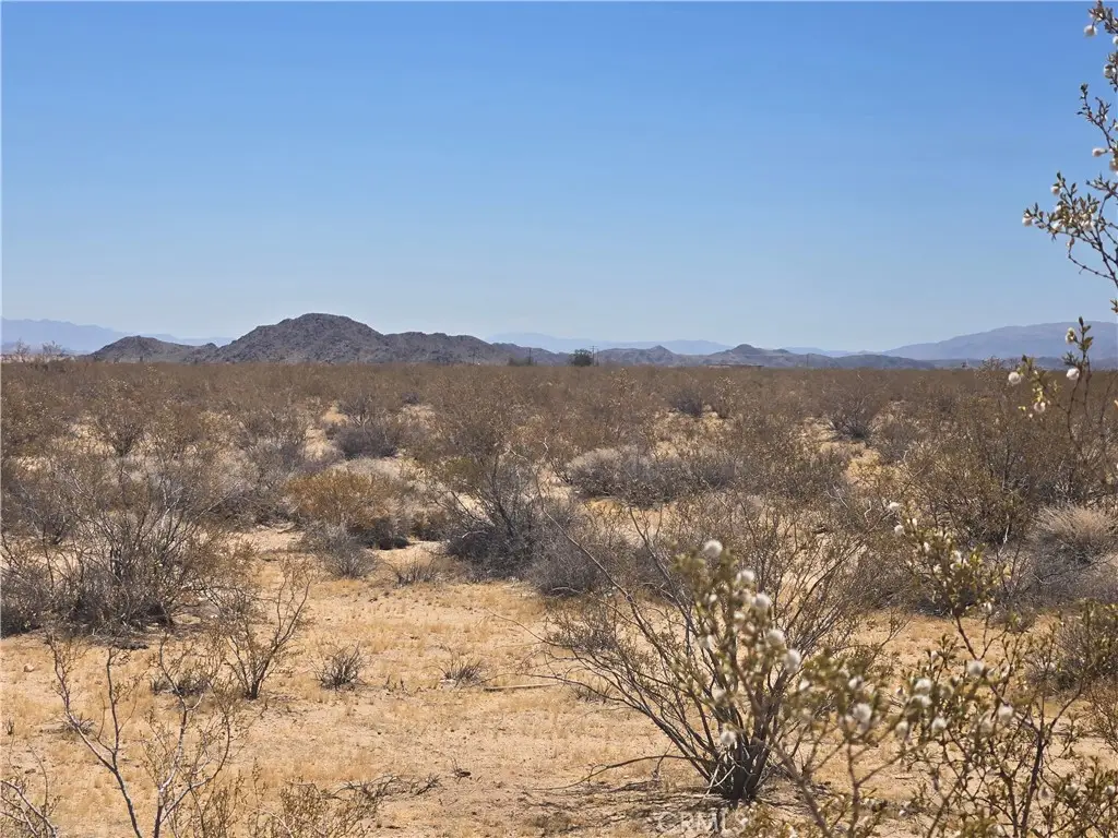 1577 Mcgarry Road, Joshua Tree, CA 92252 - #1