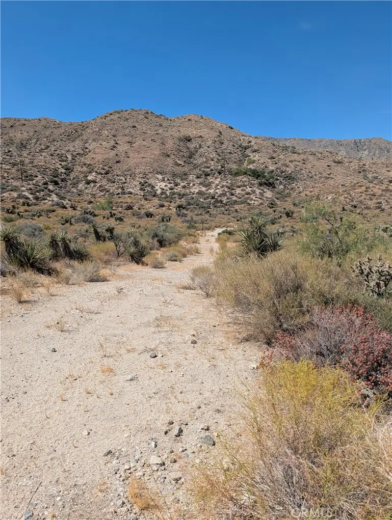 49170 Via Hacienda, Morongo Valley, CA 92256 - #3