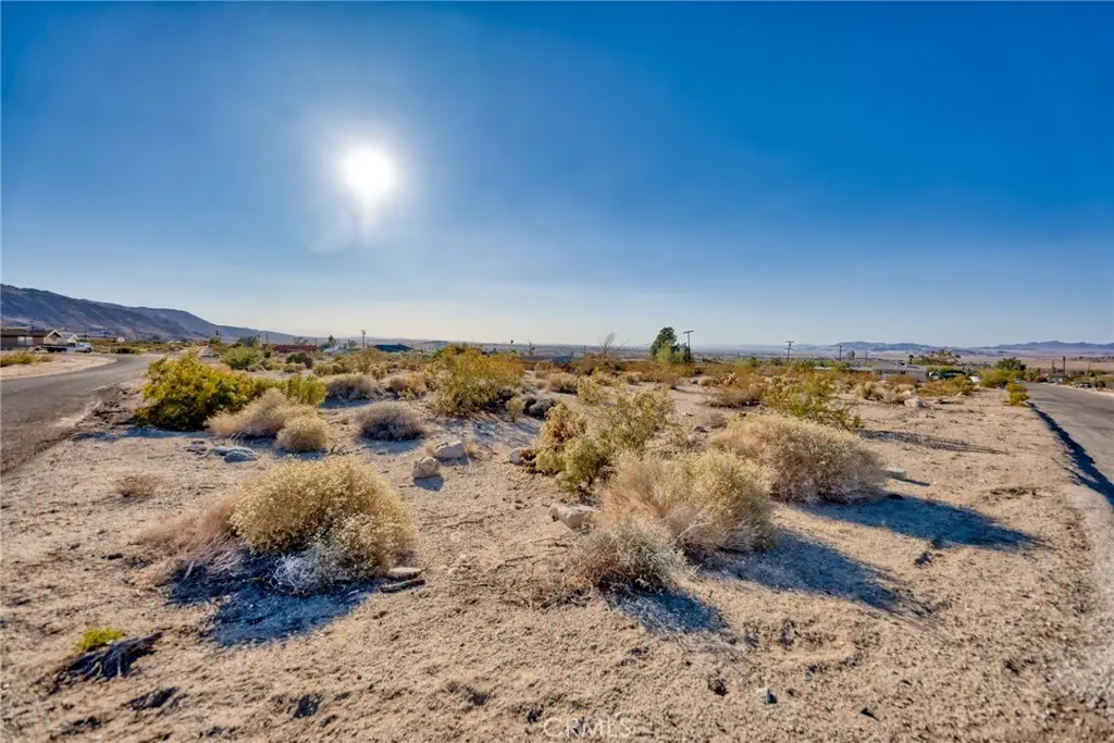 7434 Persia Ave, Twentynine Palms, CA 92277 - #1
