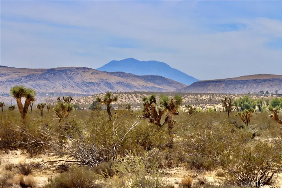 0 Mitch Lane, Landers, CA 92285 - #2