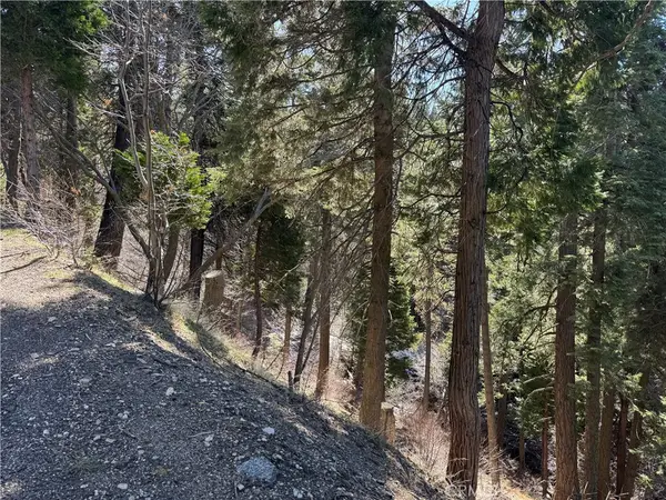 0 Sunderland Court, Lake Arrowhead, CA 92352