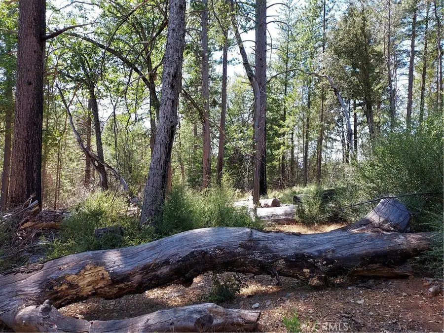 16102 Sugar Pine Ridge Road, Cobb, CA 95426 - #2