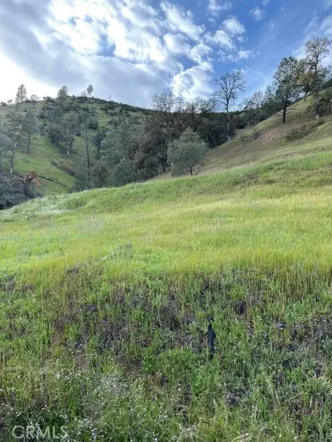 1982 New Long Valley Road, Clearlake Oaks, CA 95423 - #3