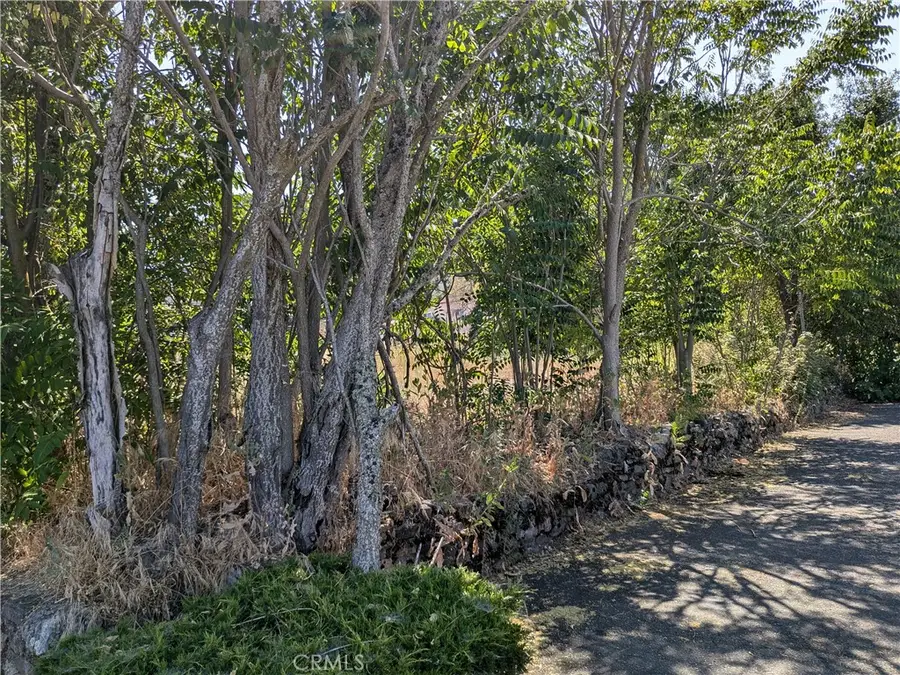 220 4th Street, Lakeport, CA 95453 - #2