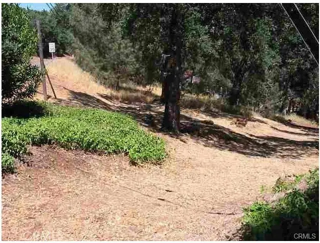 7891 Soda Bay Road, Kelseyville, CA 95451 - Image #2