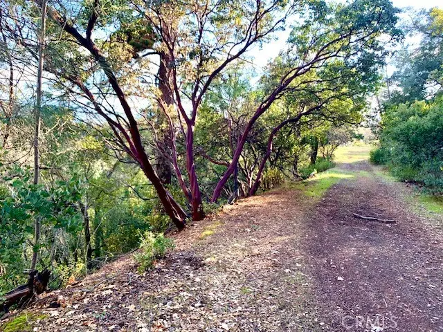 7333 Tehama, Nice, CA 95464 - #1