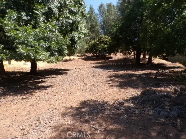 10318 Hok Has Ha Lane, Kelseyville, CA 95453