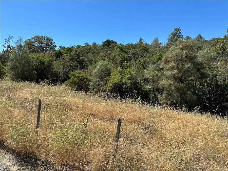 22017 No Guns Road, Clearlake Oaks, CA 95423 - #2