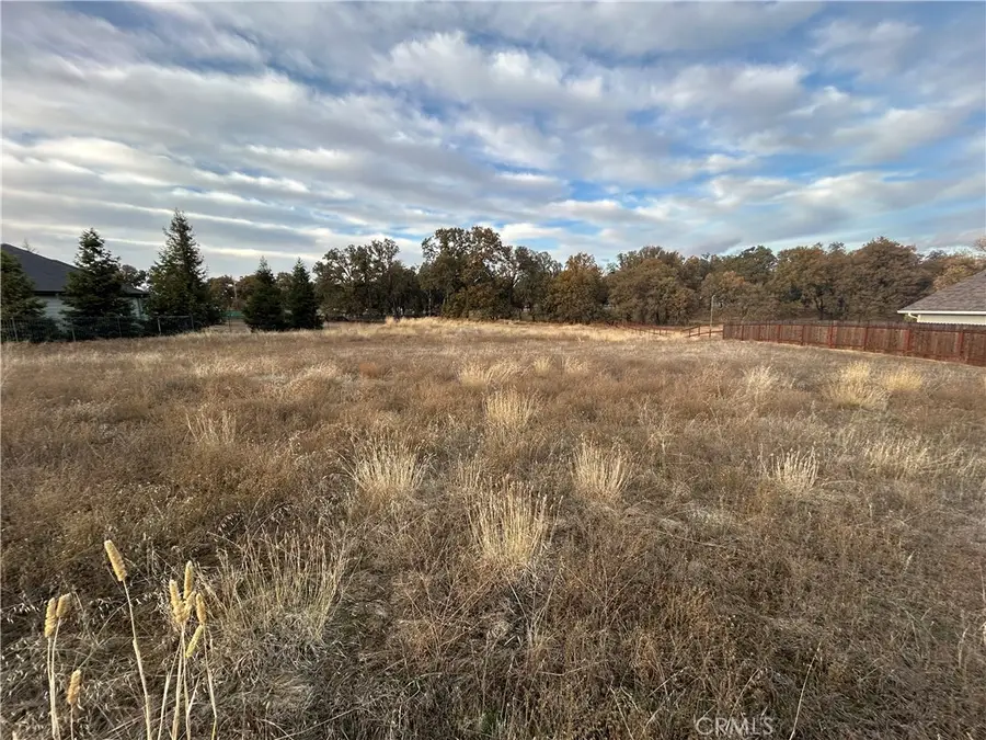 1250 Oak Park Way, Lakeport, CA 95453 - #3