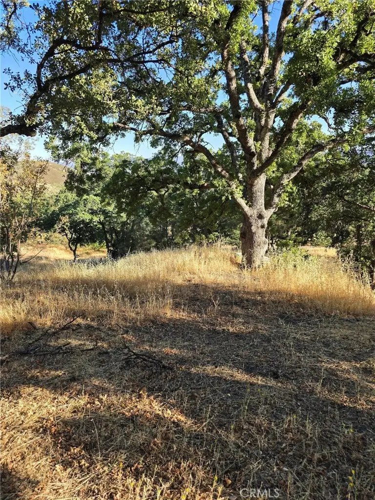 728 Watertrough Road, Clearlake Oaks, CA 95423 - #3