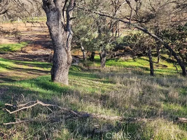 16277 42nd Avenue, Clearlake, CA 95422 - #1