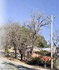 10705 Gifford Springs, Cobb, CA 95426 - #1