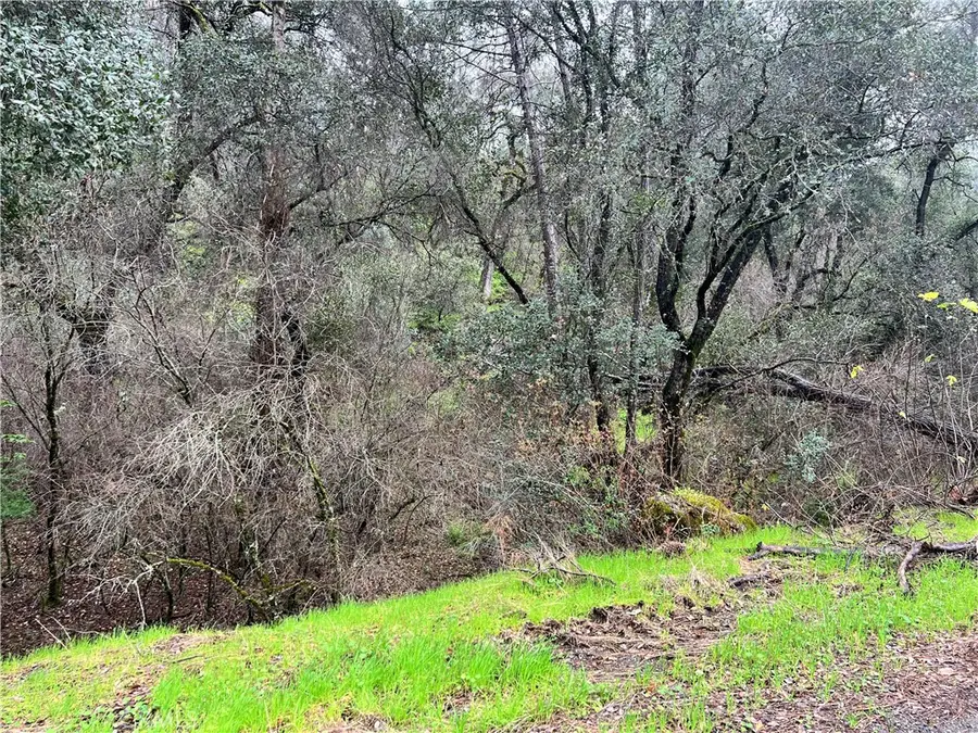 12215 Mountain View Drive, Clearlake Oaks, CA 95423 - #2