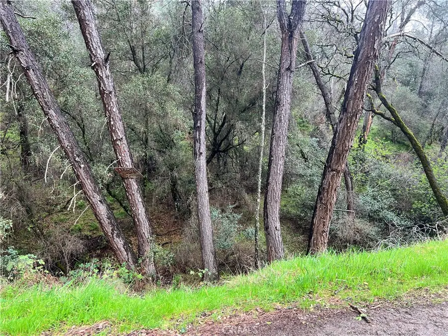 12215 Mountain View Drive, Clearlake Oaks, CA 95423 - #3