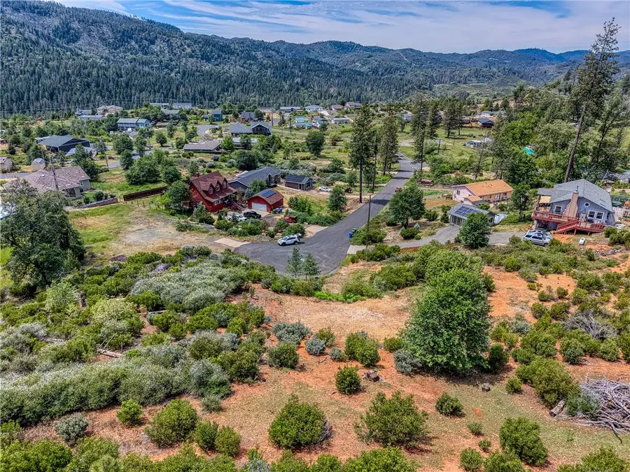 9738 Hoberg Drive E, Cobb, CA 95426 - #3