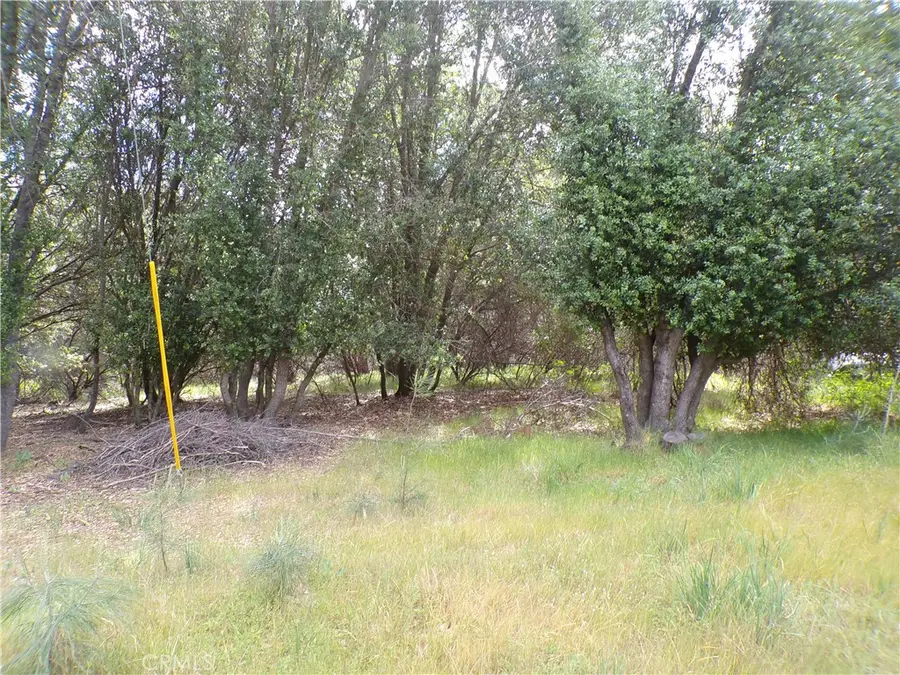 17472 Cache Creek, Clearlake Oaks, CA 95423 - #2
