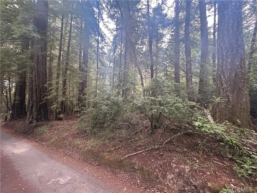 0 Law Road, Mendocino, CA 95460 - #2
