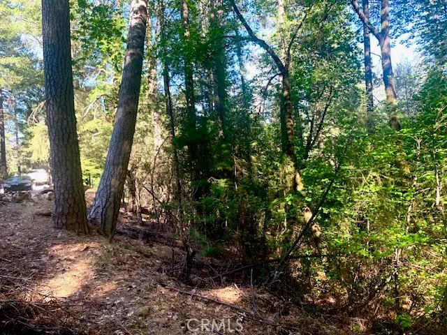 17325 Fernbrook, Middletown, CA 95461 - #1