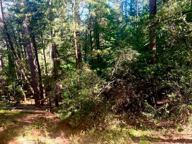 17325 Fernbrook, Middletown, CA 95461 - #3