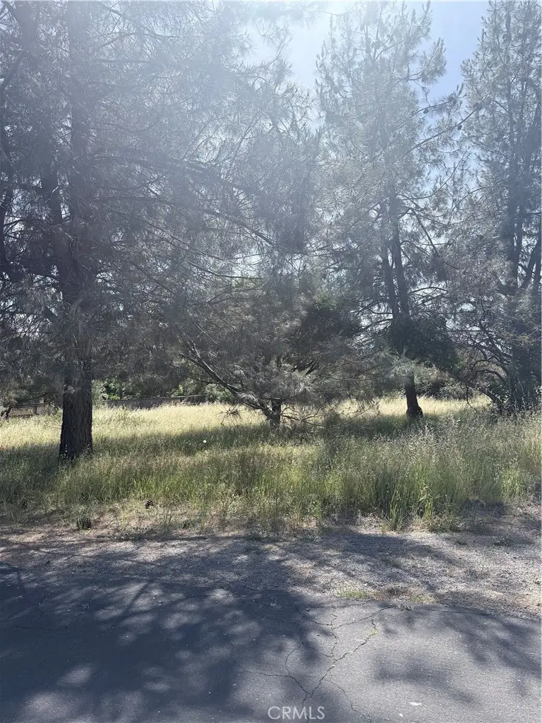 19303 Ravenhill, Hidden Valley Lake, CA 95467 - #2