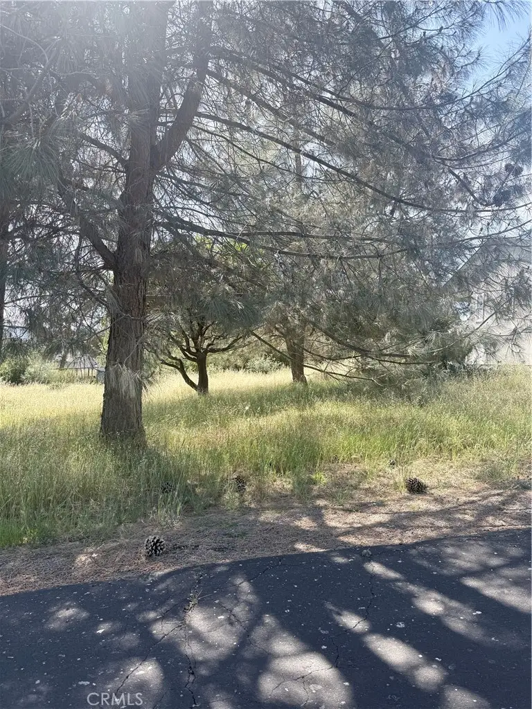 19303 Ravenhill, Hidden Valley Lake, CA 95467 - #3