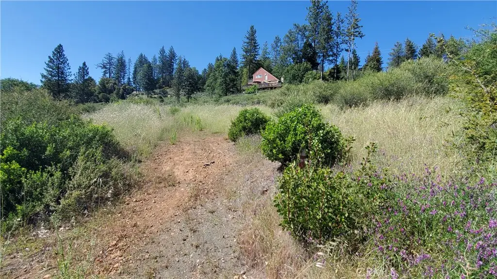 9334 Bleuss Way, Cobb, CA 95426 - #1