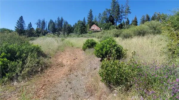 9334 Bleuss Way, Cobb, CA 95426