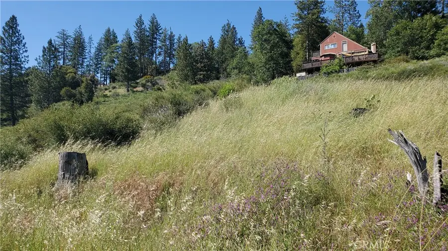 9334 Bleuss Way, Cobb, CA 95426 - #3