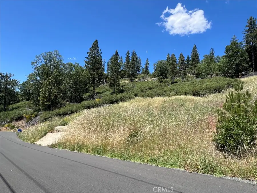 9284 Bleuss Way, Cobb, CA 95426 - #2